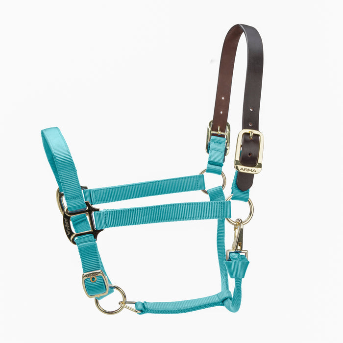 TEAL / PONY