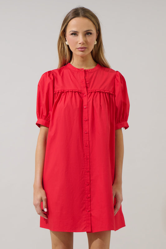 Alenka Shift Mini Dress
