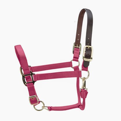 ARMA Premium Adjustable FieldSafe Headcollar
