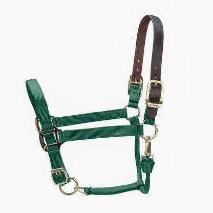 ARMA Premium Adjustable FieldSafe Headcollar