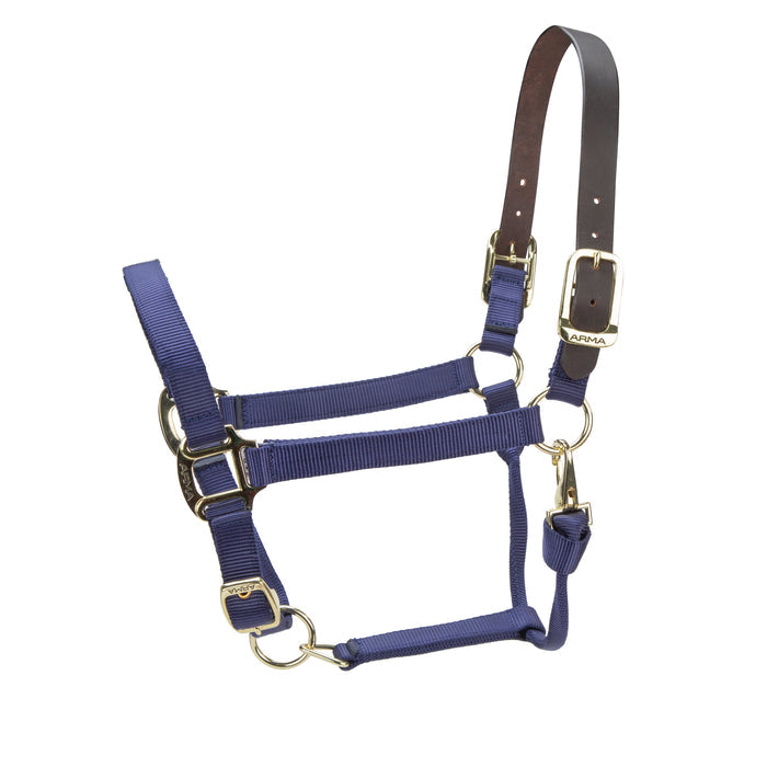 ARMA Premium Adjustable FieldSafe Headcollar
