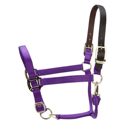 ARMA Premium Adjustable FieldSafe Headcollar