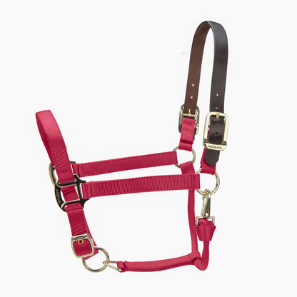 ARMA Premium Adjustable FieldSafe Headcollar