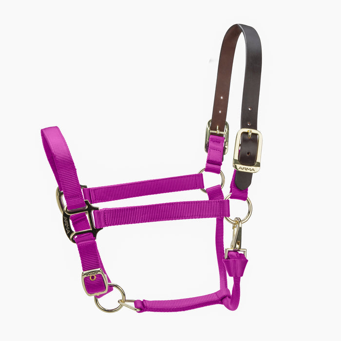 RASPBERRY / PONY
