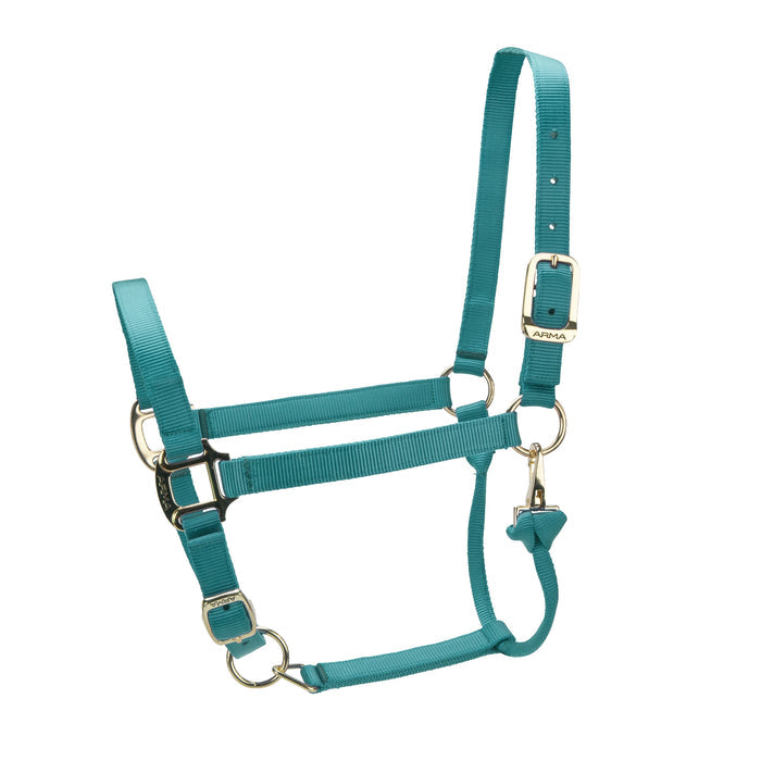 TEAL / PONY