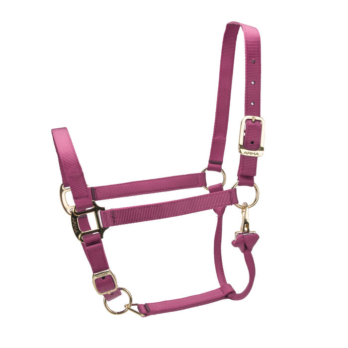 ARMA Premium Adjustable Headcollar