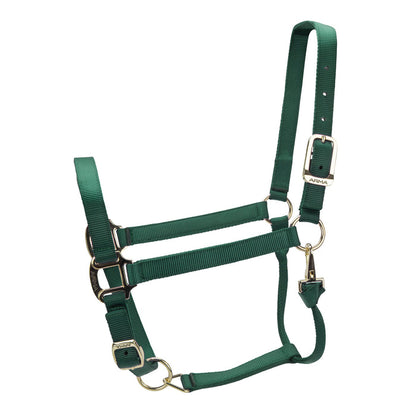 ARMA Premium Adjustable Headcollar