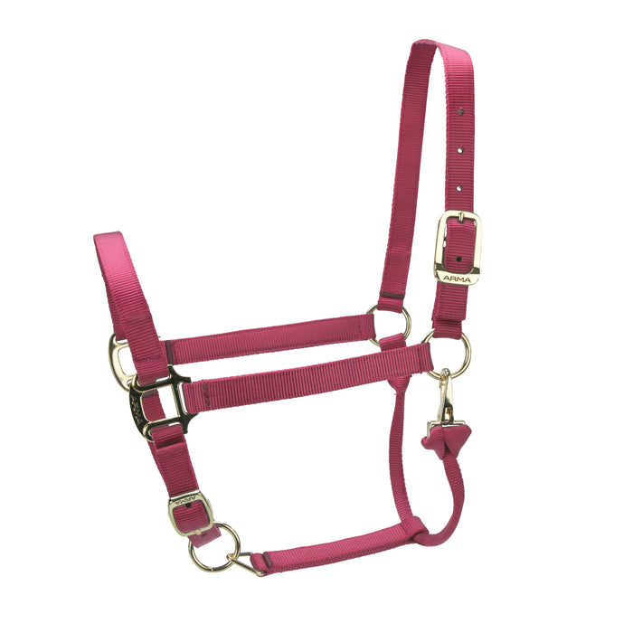 ARMA Premium Adjustable Headcollar