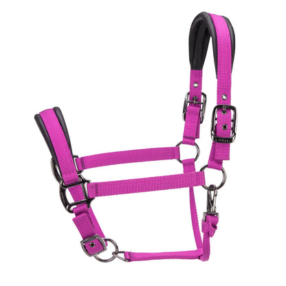RASPBERRY / PONY