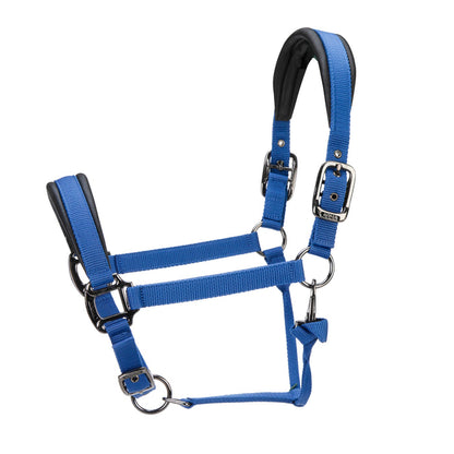 ARMA Pro Padded Headcollar