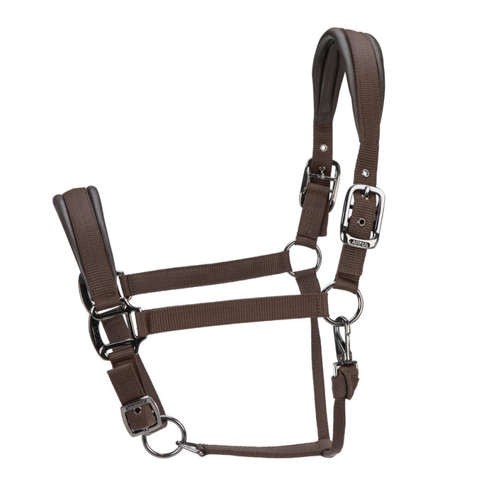ARMA Pro Padded Headcollar