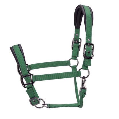 ARMA Pro Padded Headcollar