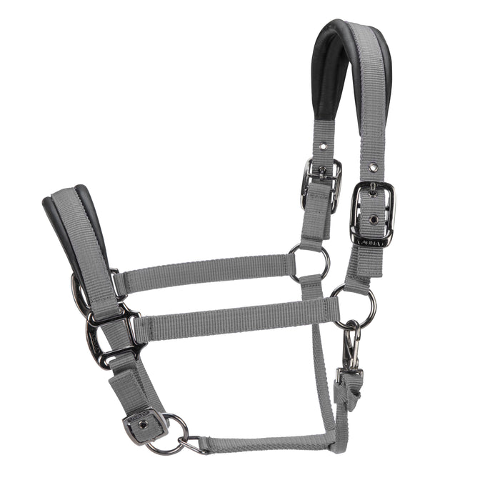 ARMA Pro Padded Headcollar