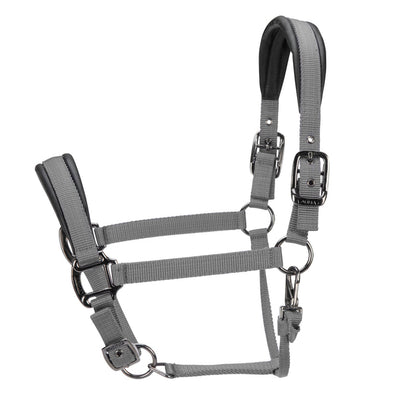 ARMA Pro Padded Headcollar