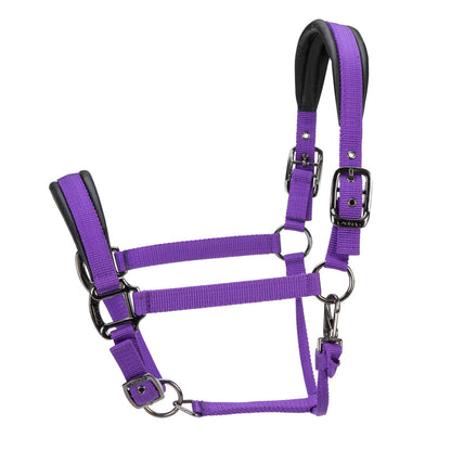 ARMA Pro Padded Headcollar