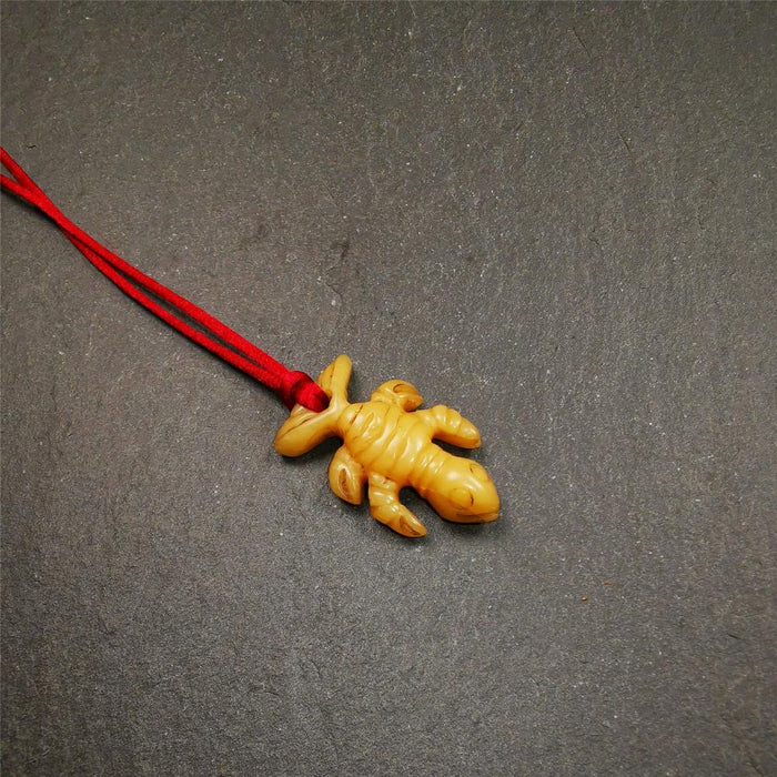 Bone Scorpion Amulet 1.2" - Tibetan Buddhist amulet, view 5