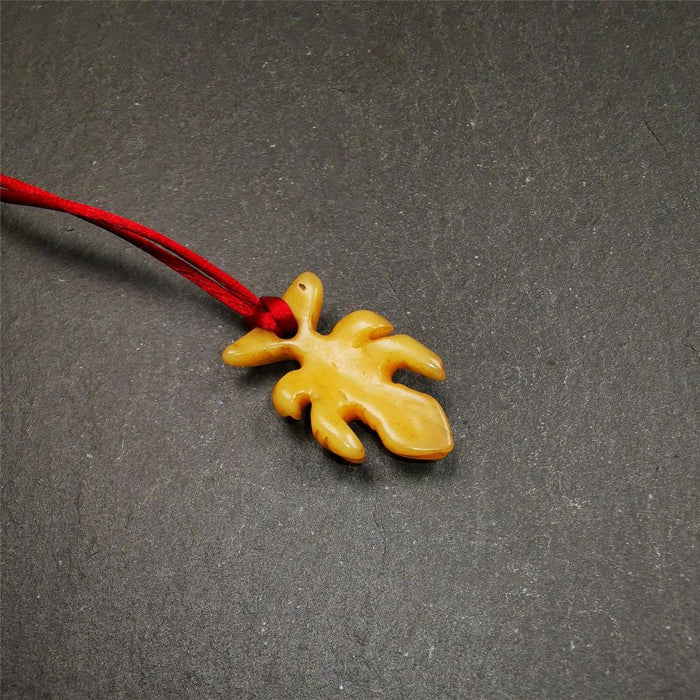Bone Scorpion Amulet 1.2" - Tibetan Buddhist amulet, view 6