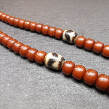 Pair of Tibetan Tiger Tooth Dzi Spacer Marker Beads for Mala,Necklace,0.42" - Tibetan Buddhist mala beads, front view