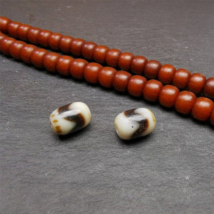 Pair of Tibetan Tiger Tooth Dzi Spacer Marker Beads for Mala,Necklace,0.42" - Tibetan Buddhist mala beads, view 6