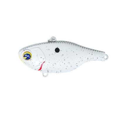 Rock N’ Vibe #132 Hot Shad