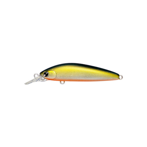 Sukari Ghost 50 #007  Classic