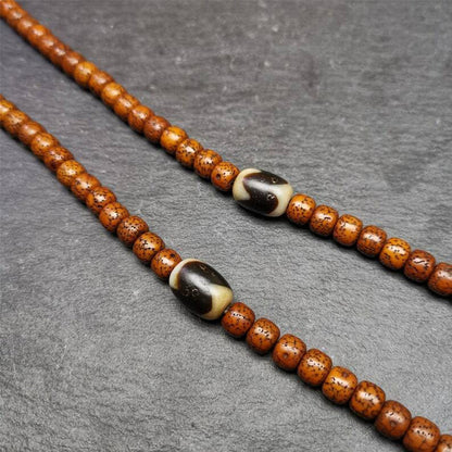 Tiger Tooth Dzi Spacer Marker Beads 0.4" - Tibetan dzi bead, detailed view