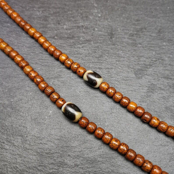 Tiger Tooth Dzi Spacer Marker Beads 0.4" - Tibetan dzi bead, view 4