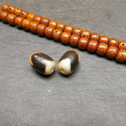 Tiger Tooth Dzi Spacer Marker Beads 0.4" - Tibetan dzi bead, view 5