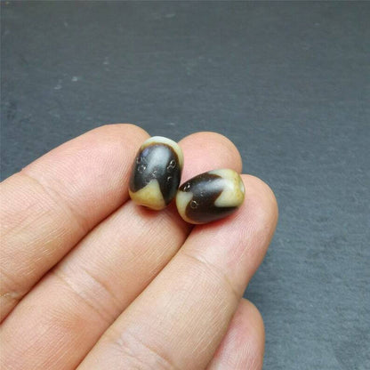 Tiger Tooth Dzi Spacer Marker Beads 0.4" - Tibetan dzi bead, view 8