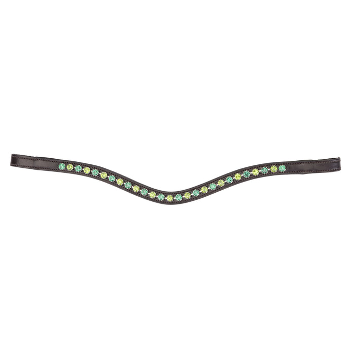 Velociti GARA Two Tone Browband